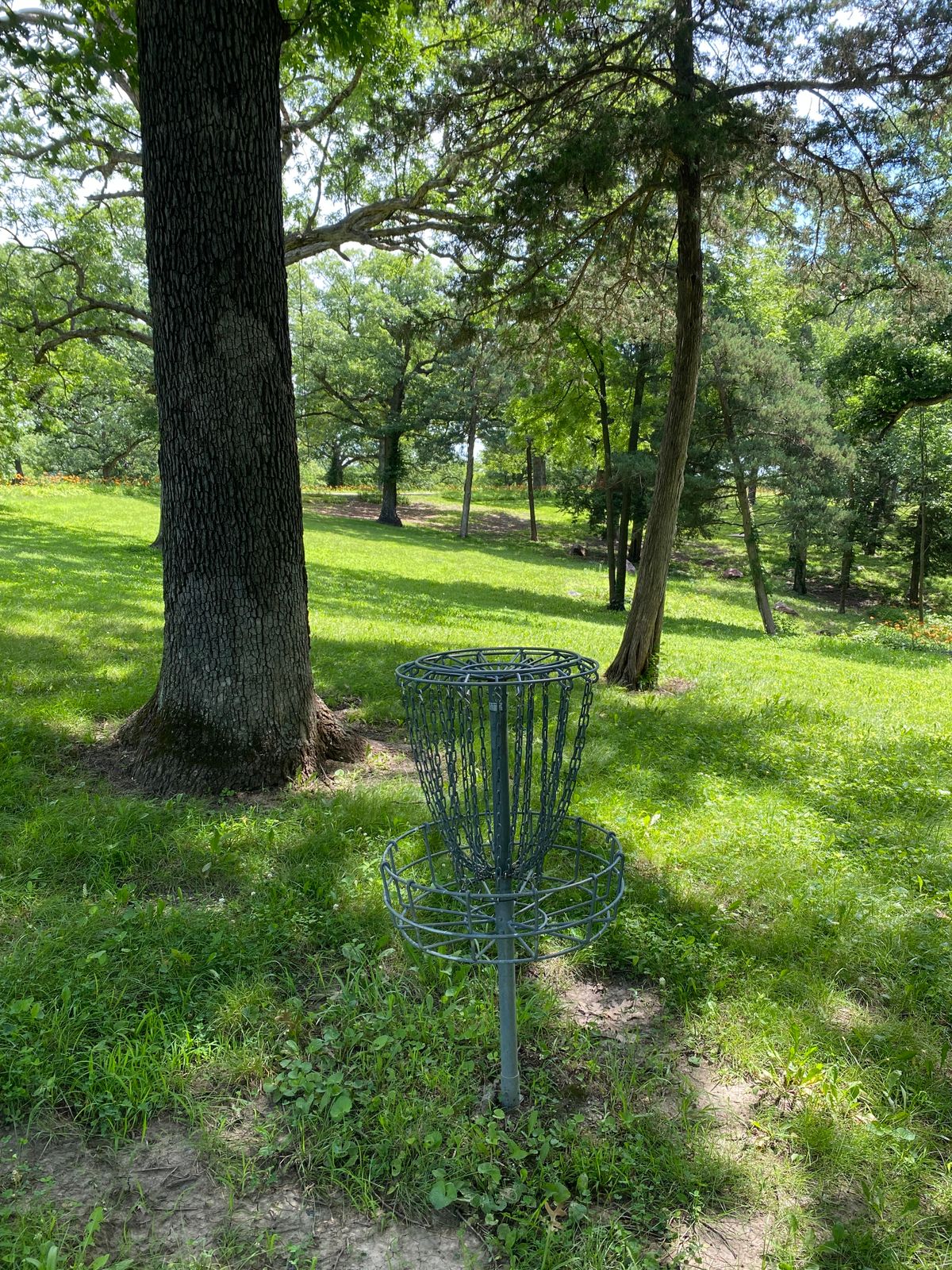 Hole 17 Basket to Tee