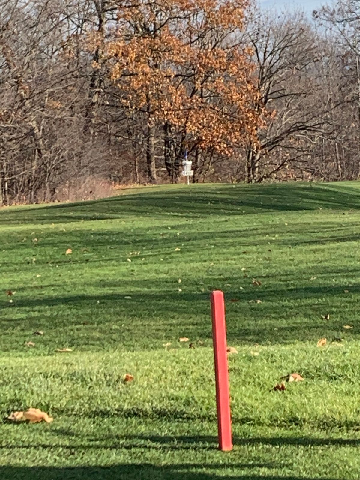 Hole 7 short tee