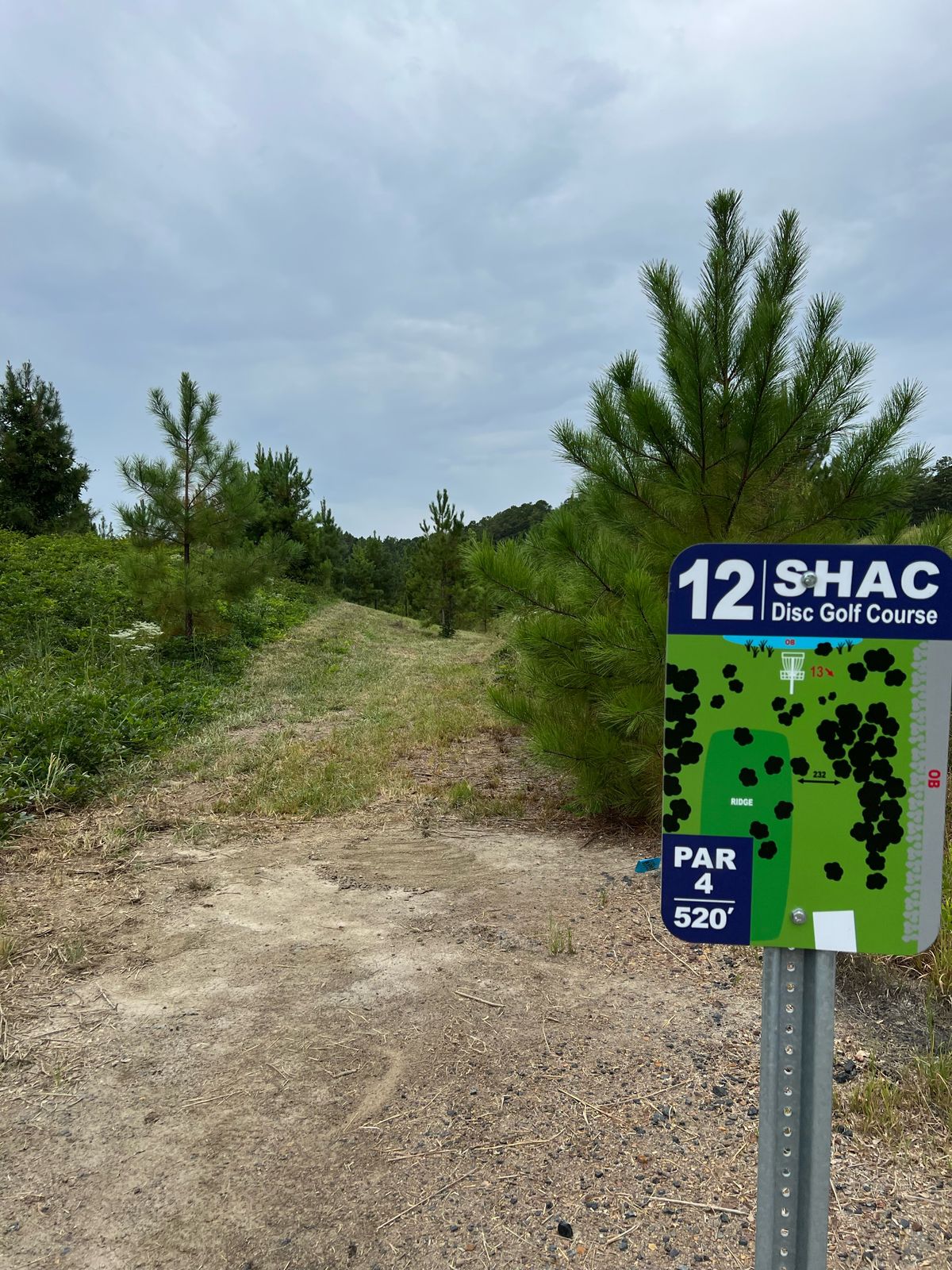 Hole 12 Tee Pad