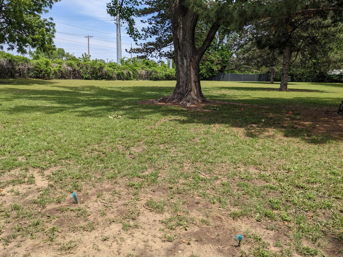 Hole #6