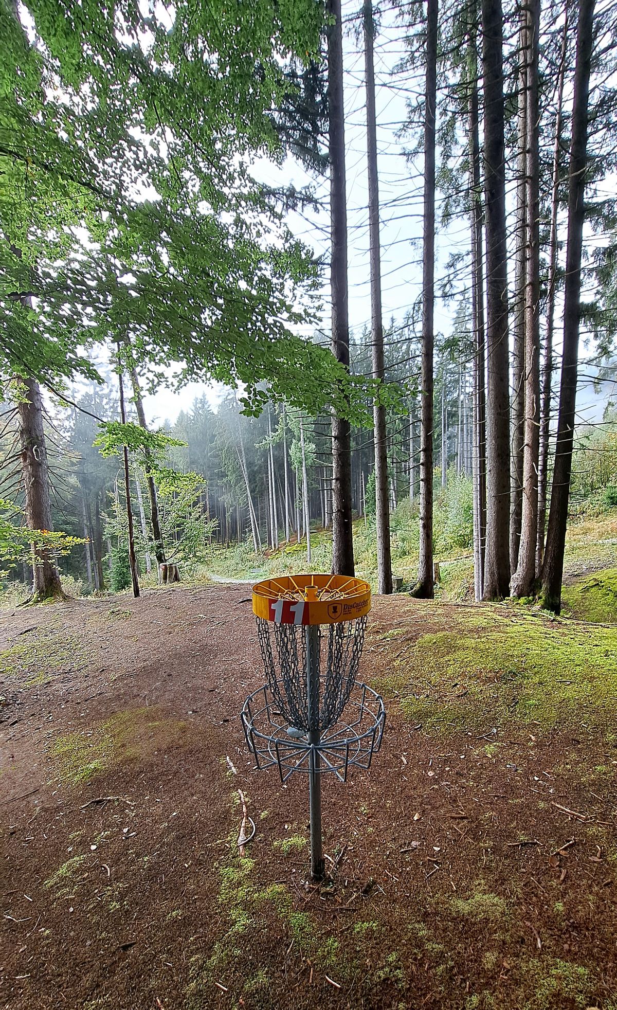 Hole 11