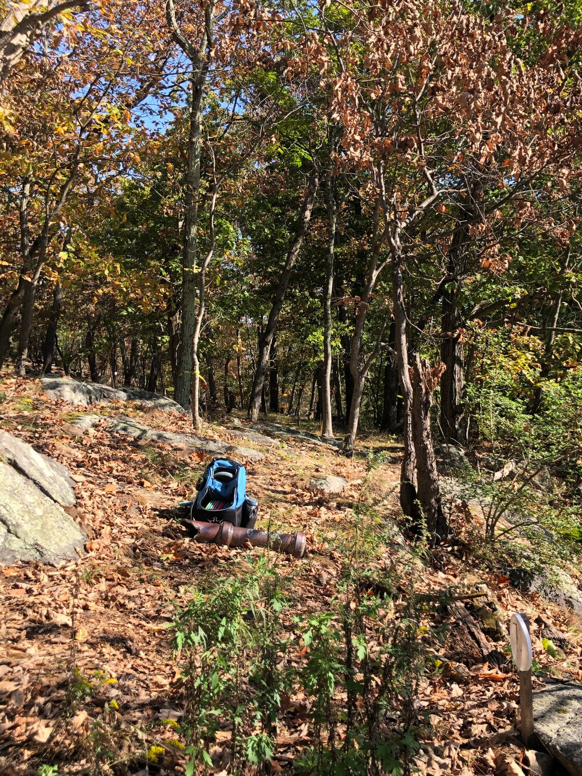 Hole #7 (147’)