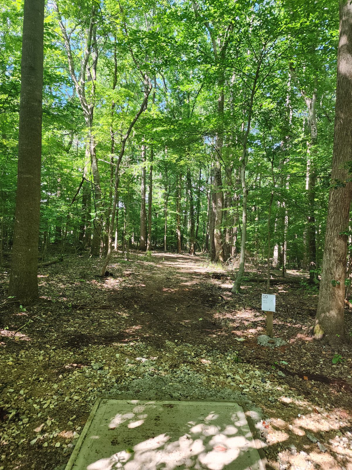 Hole 10 tee