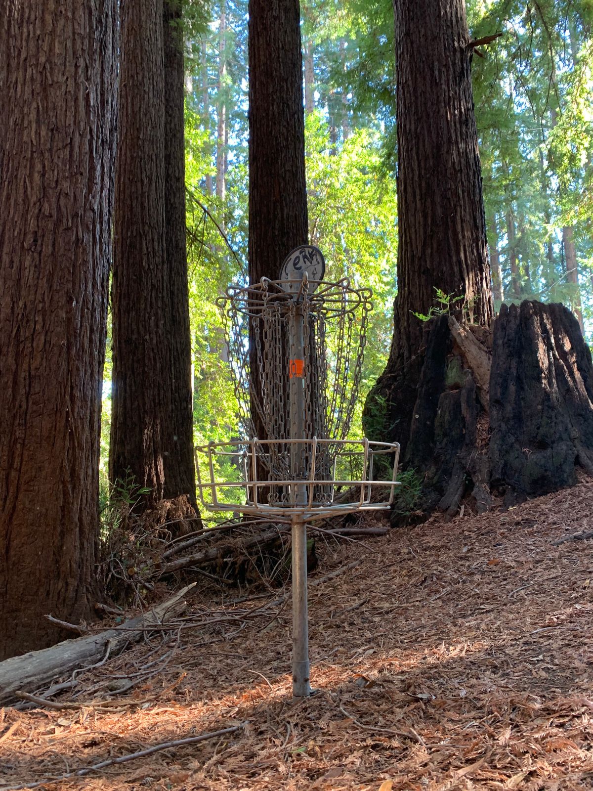 Hole 10 Basket