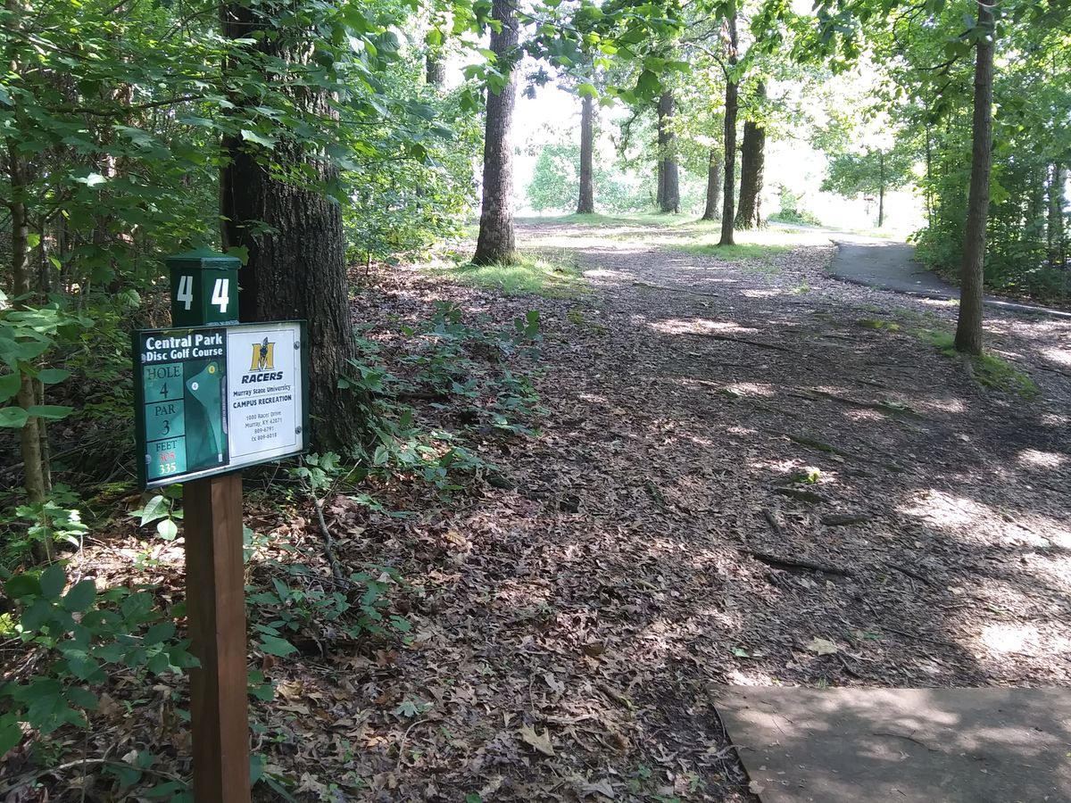 #4 is a straight shot uphill through the gap.  The yellow target is straight ahead and the red targets to the left.