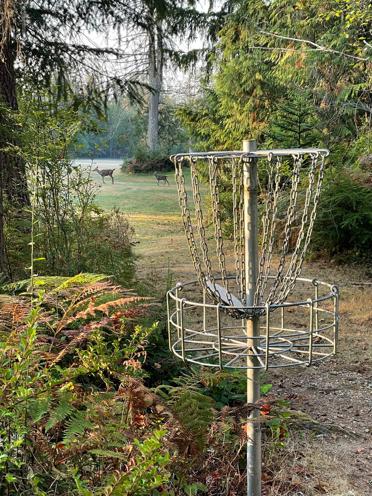 Hole 1 with friends