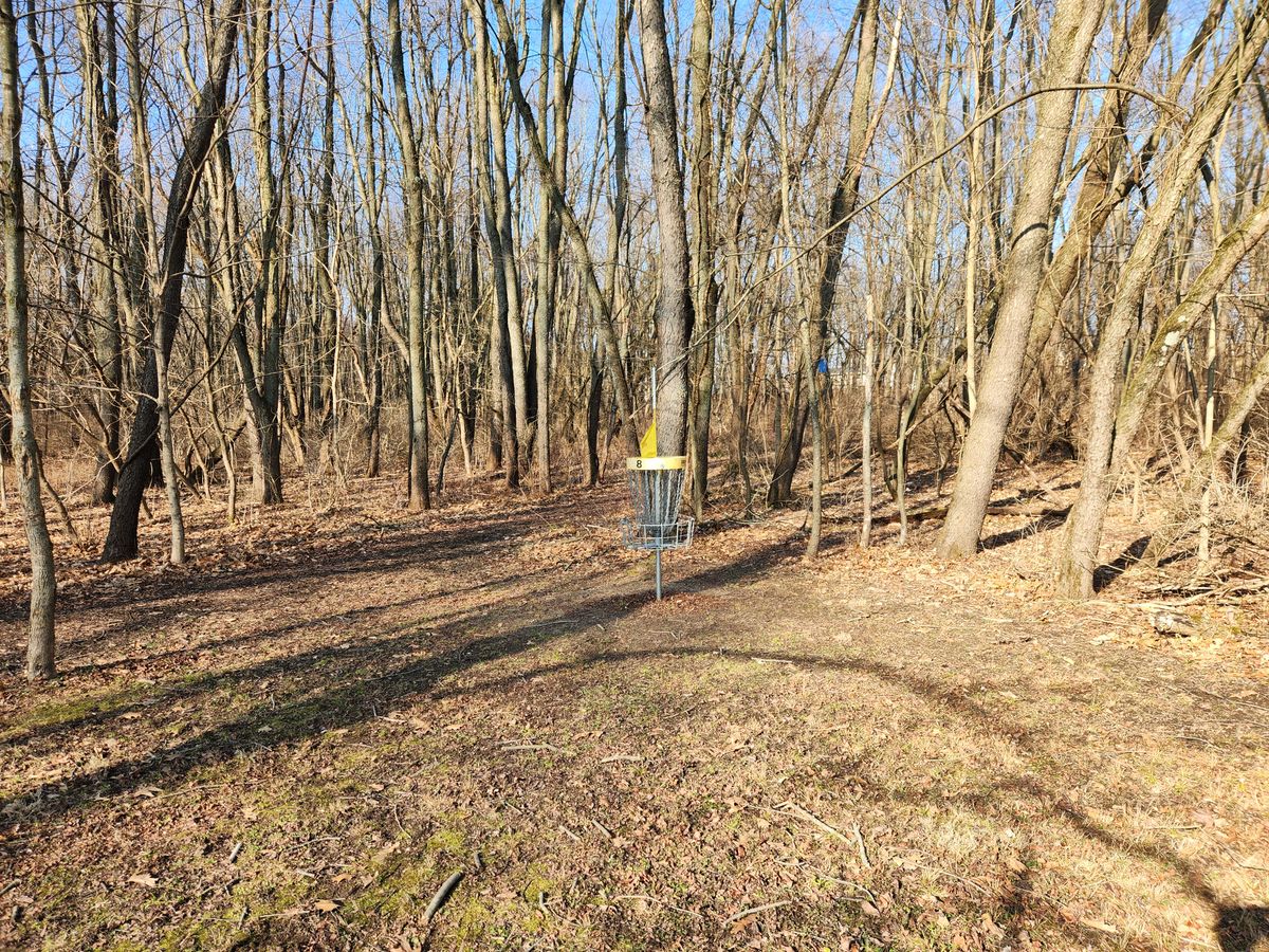 Basket 8, just inside the woods.