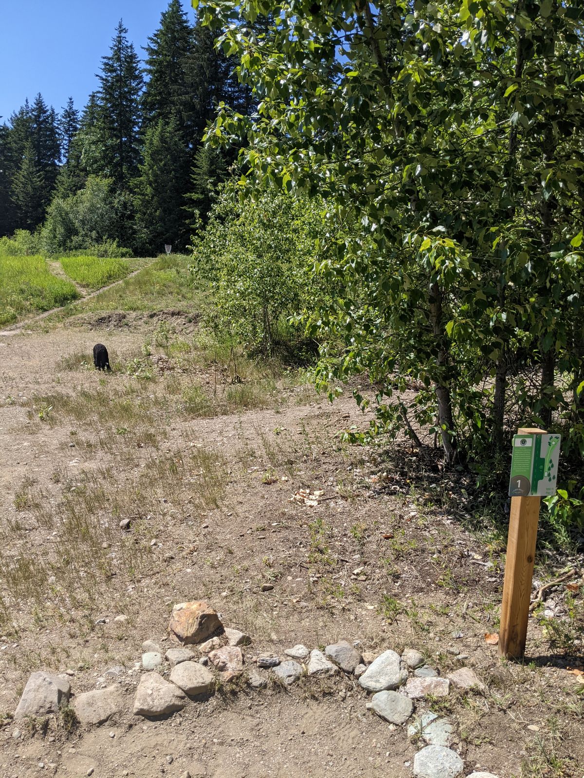 1 tee box