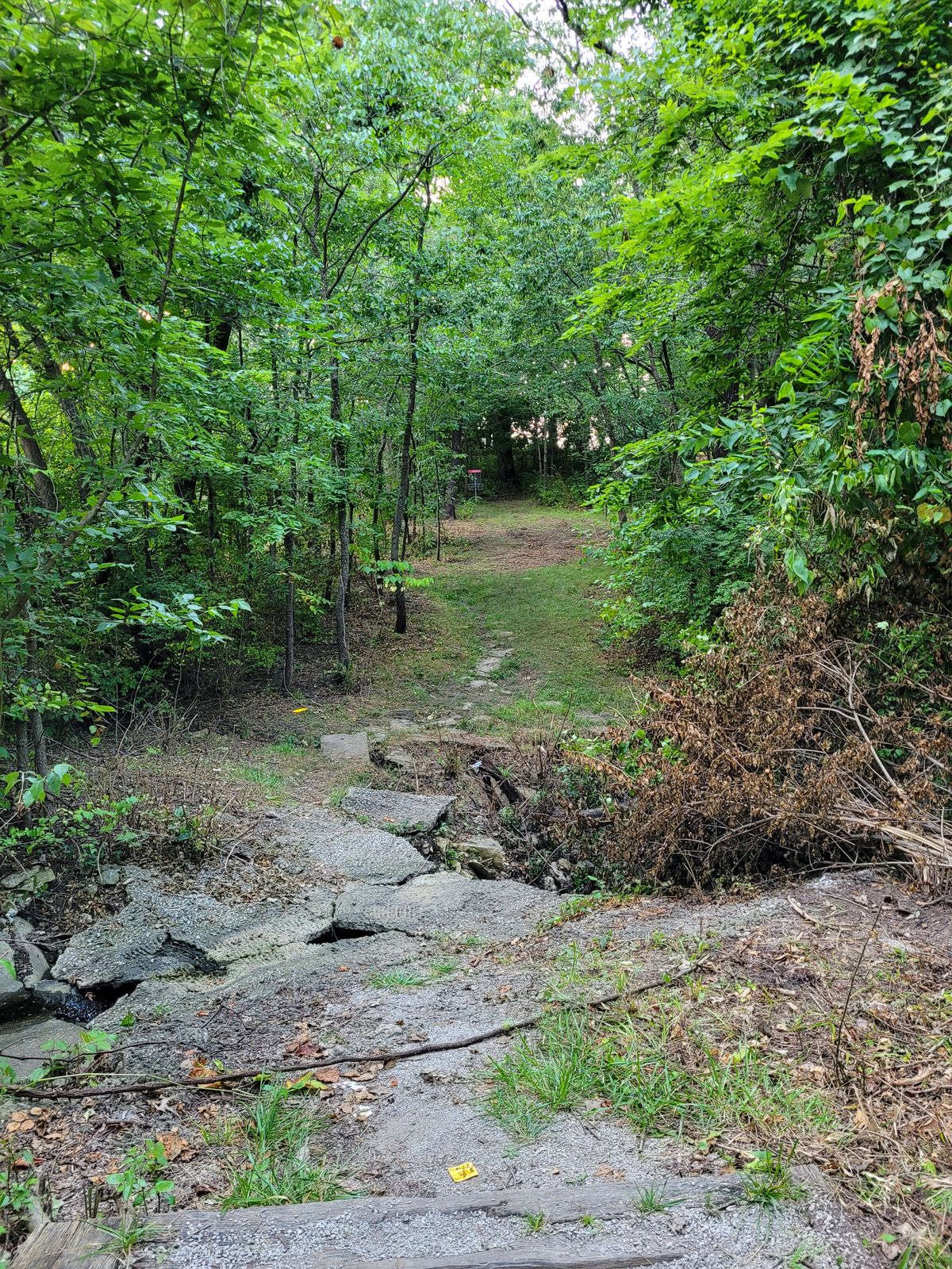 Hole 4