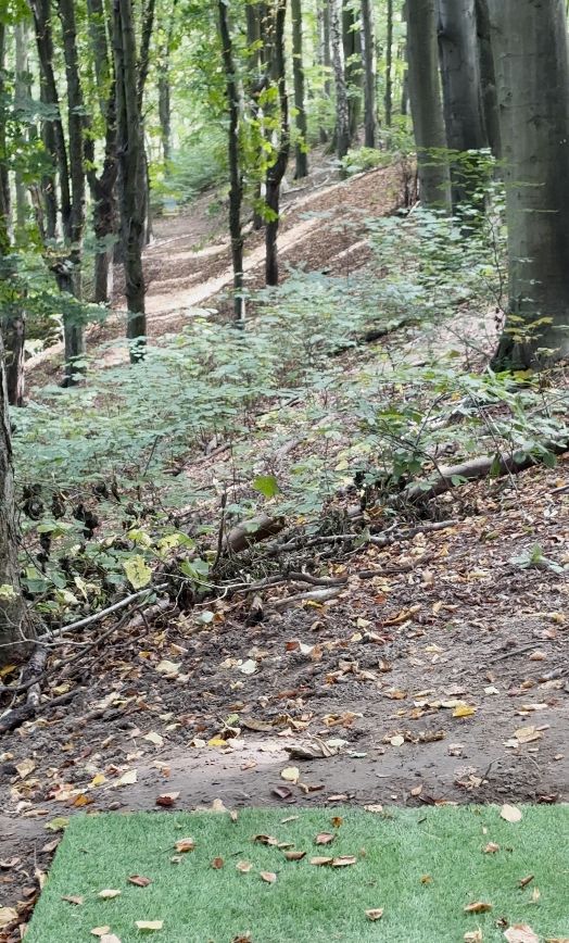 Hole #13: Left or right gap?