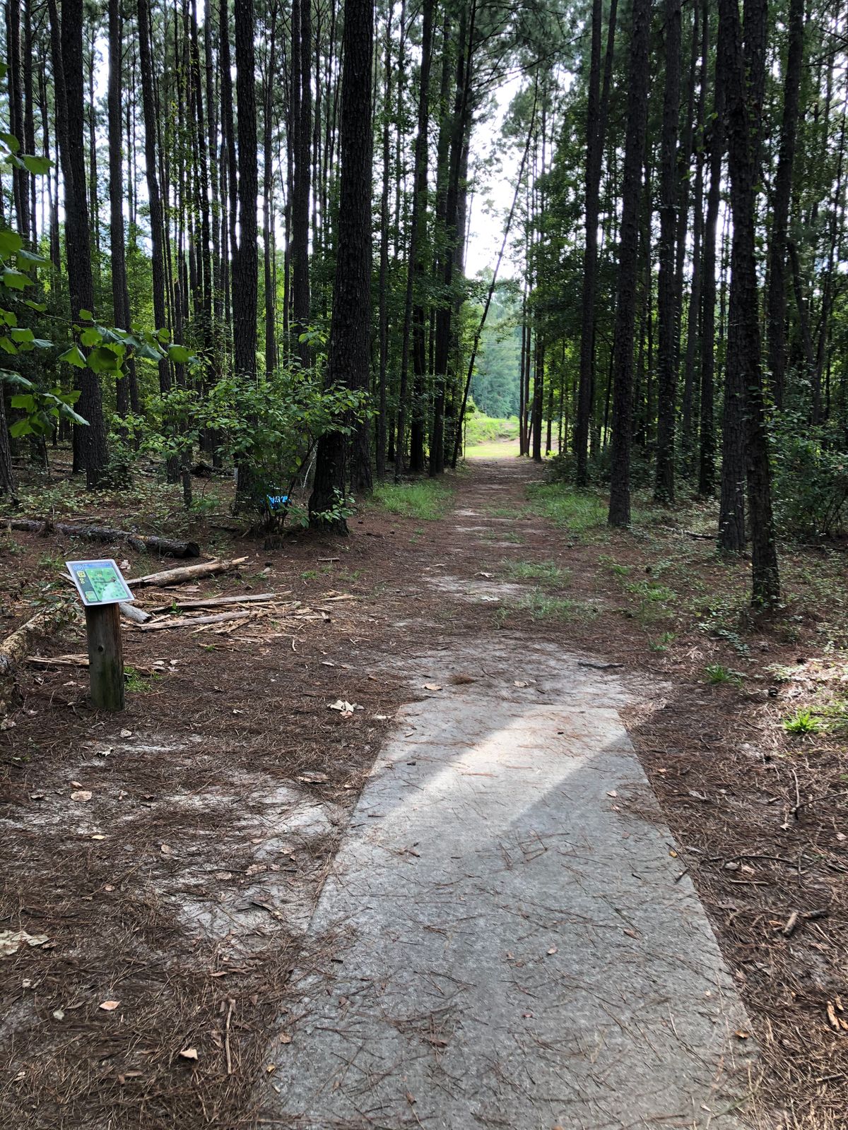 Tpad for hole 10.