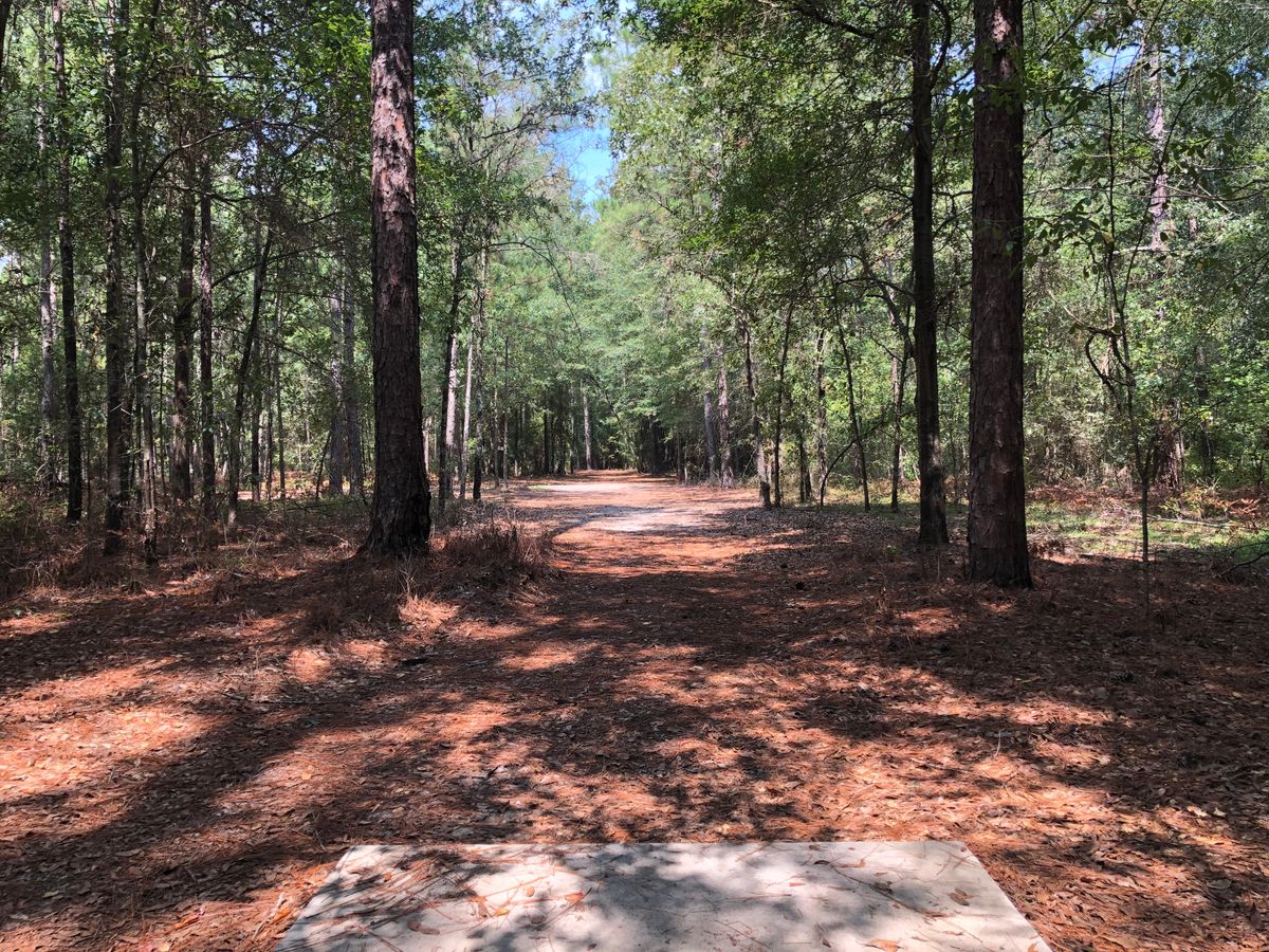Hole 5 - Blue