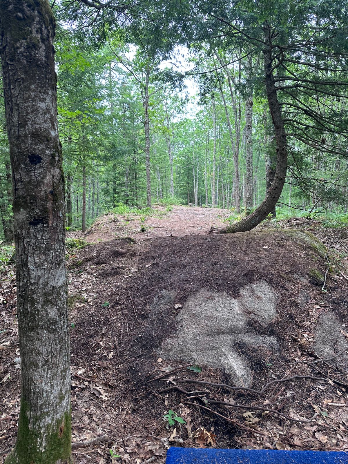 Hole #8