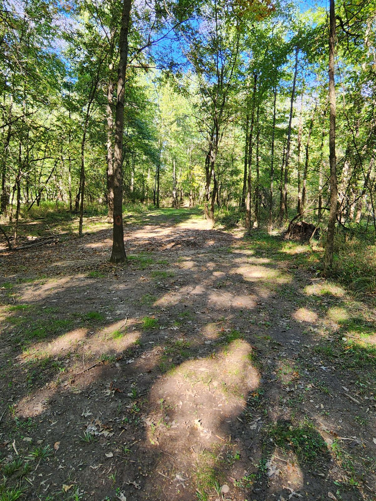 No. 13 fairway