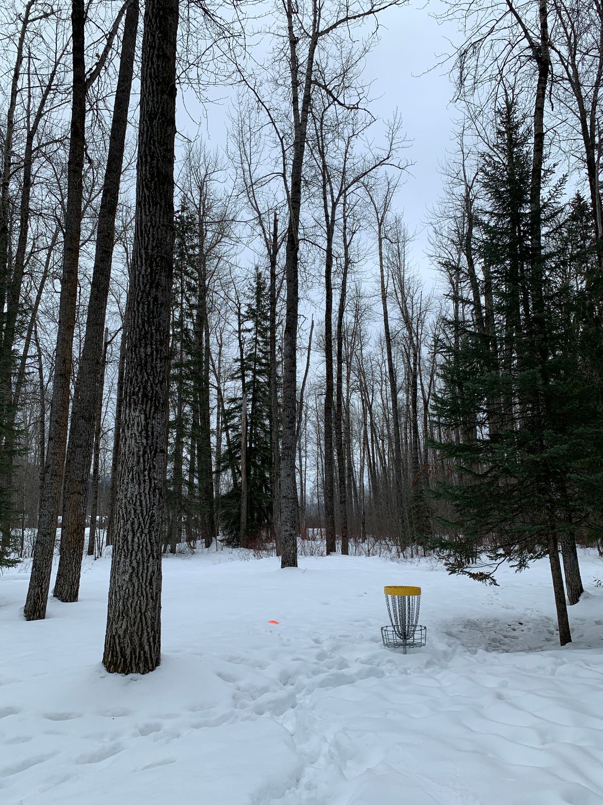 Jan 2023 - playable but deep snow. Still a great round.