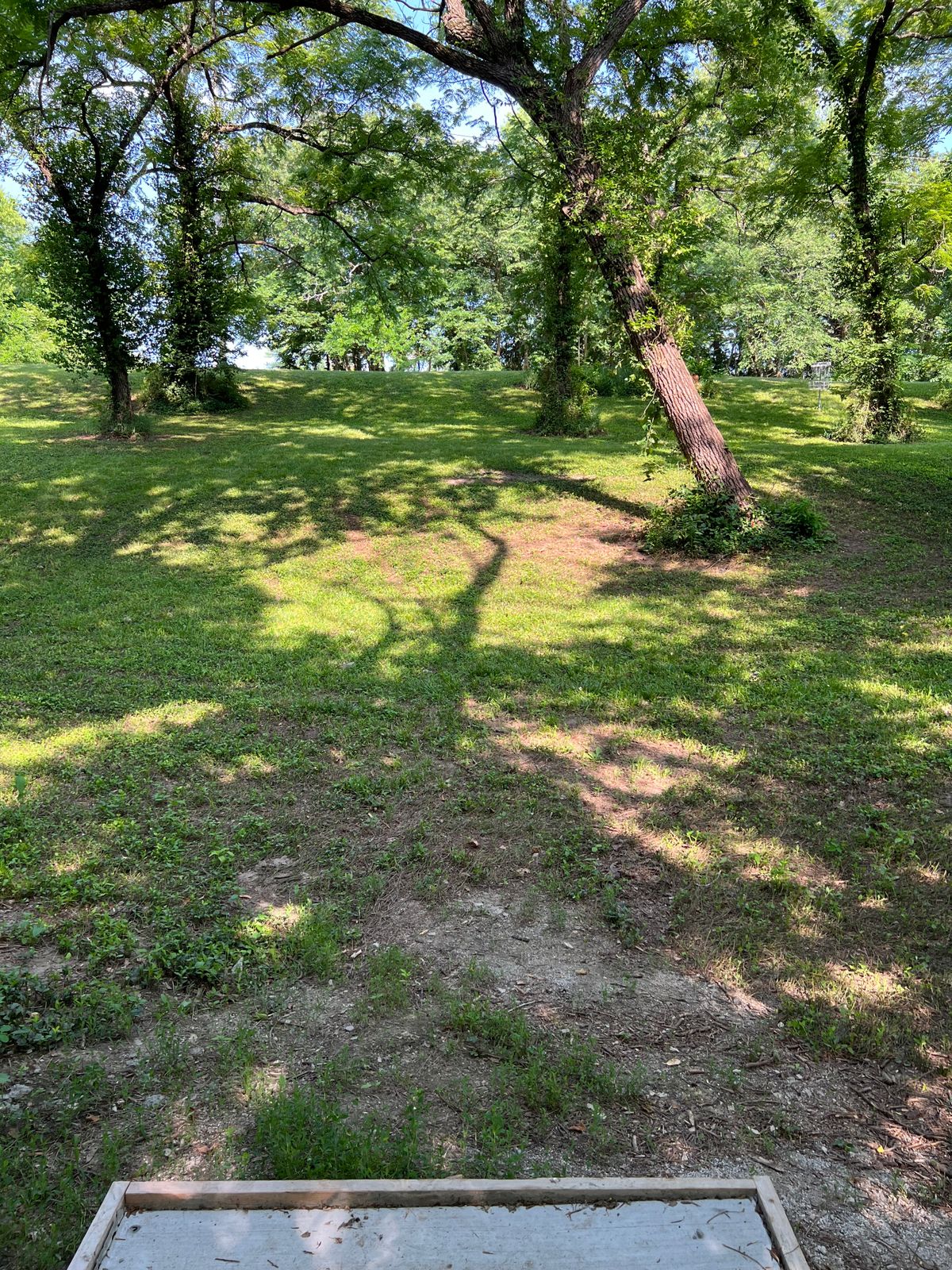 Size elevation change!