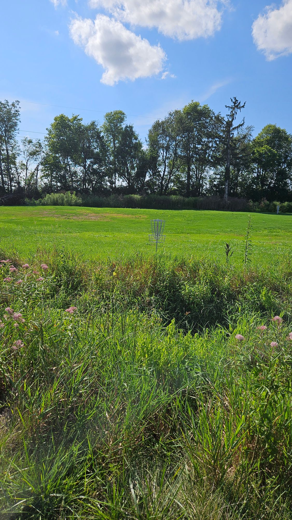 Hole 13 Basket