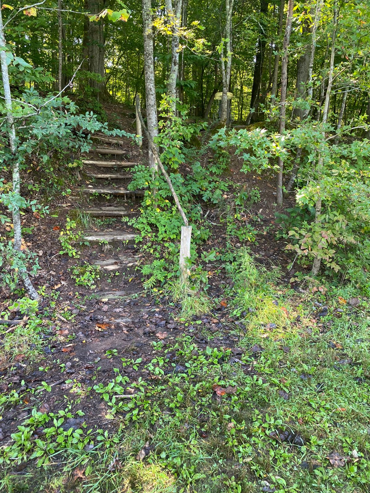 Basket and exit for hole 4