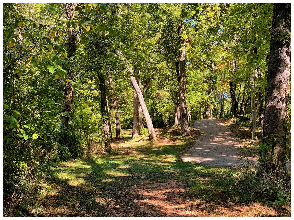 Several options open to access Hole 11