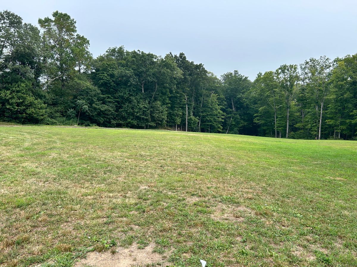 Hole 15