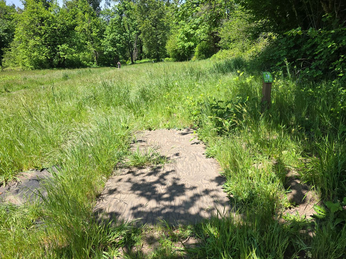 Tee pad of 9