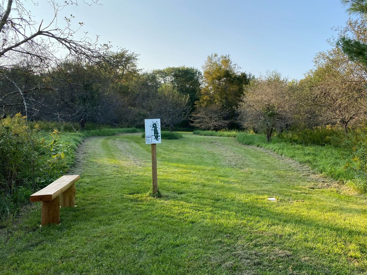 New benches