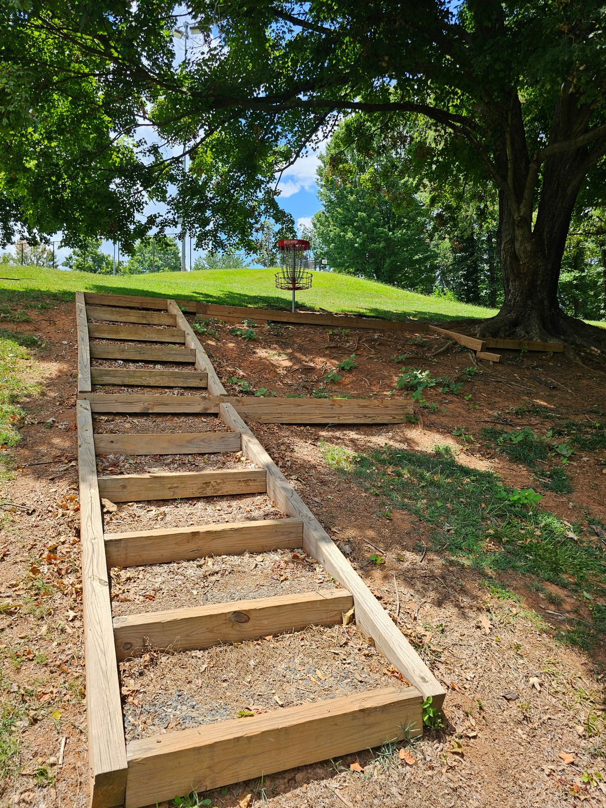 Hole 6's basket