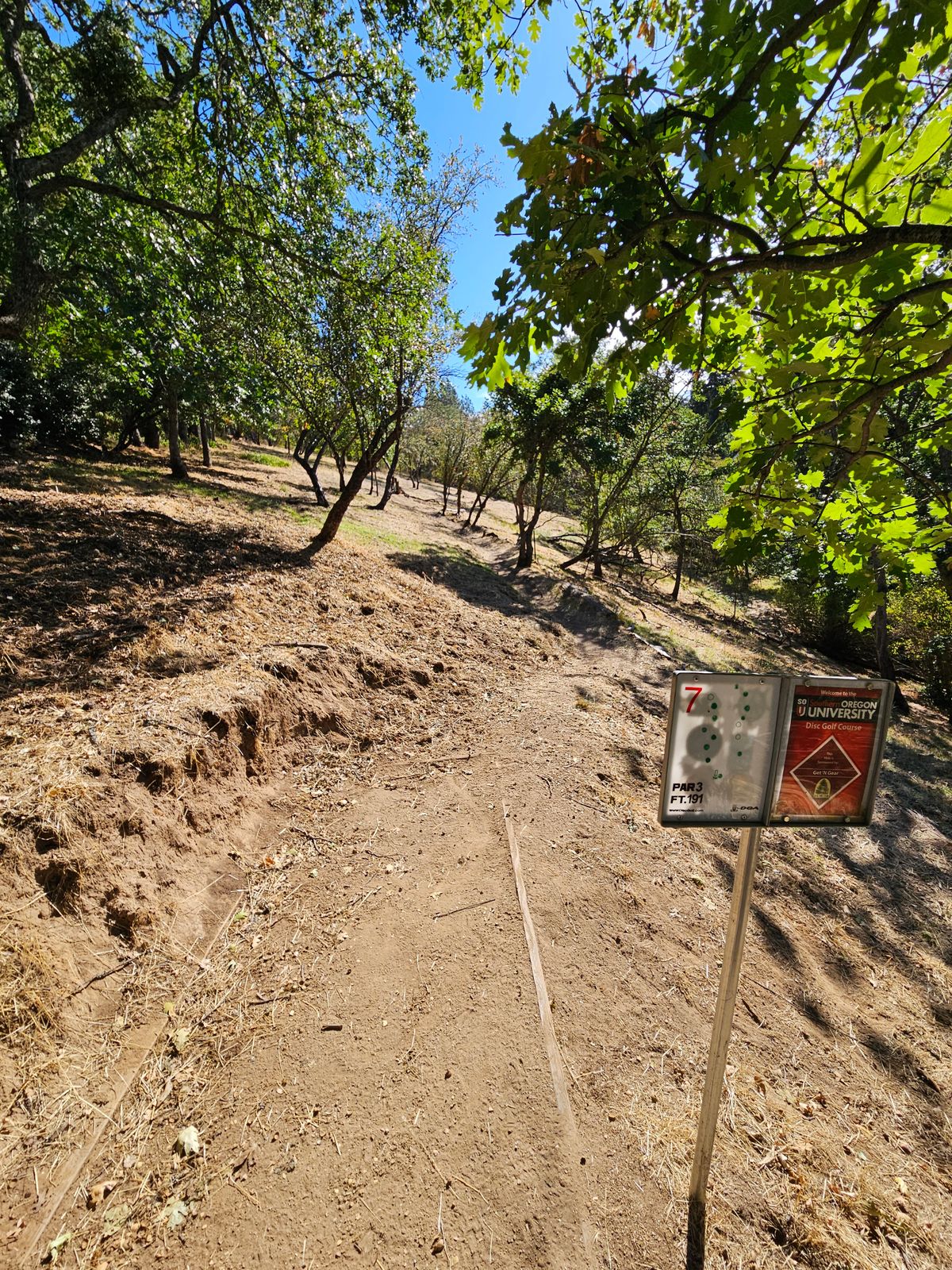 Tee 7
