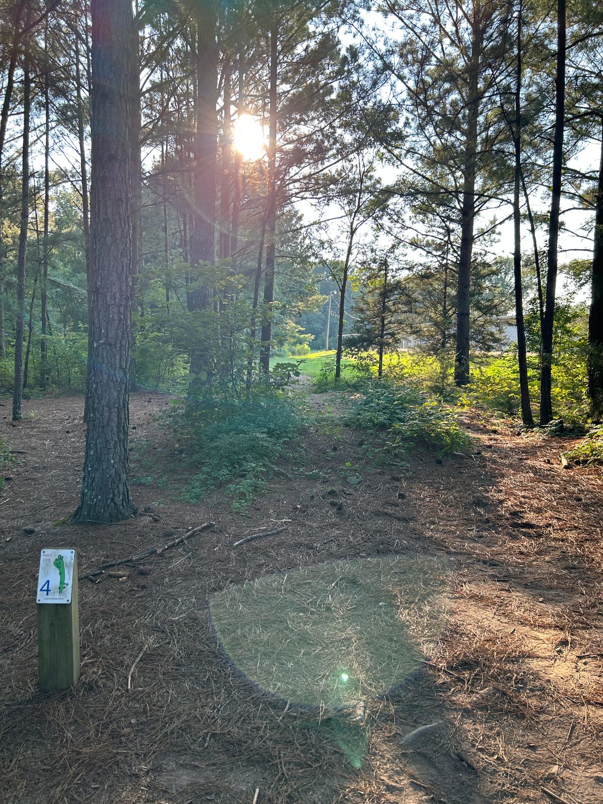 Hole 4 is through the gap/trees and finishes left just inside the tree line