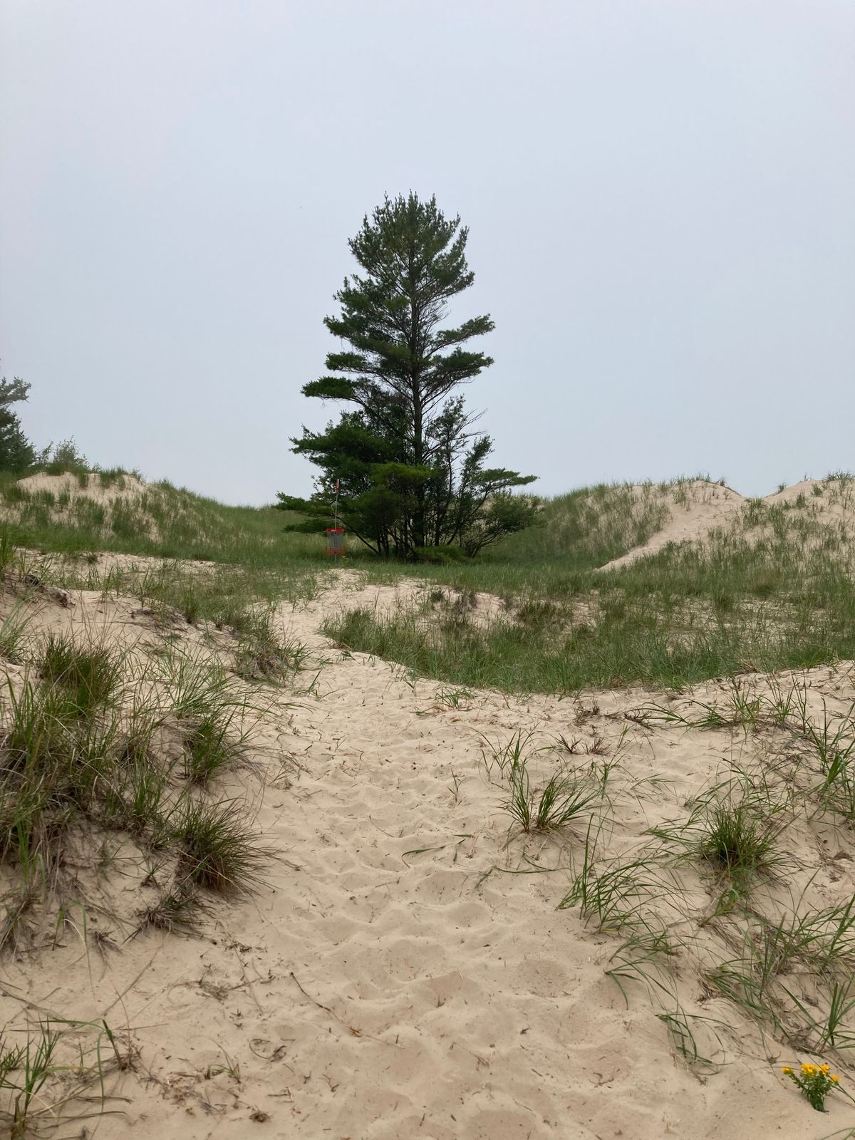 Hole 10, Lake Michigan barely visible with fog
