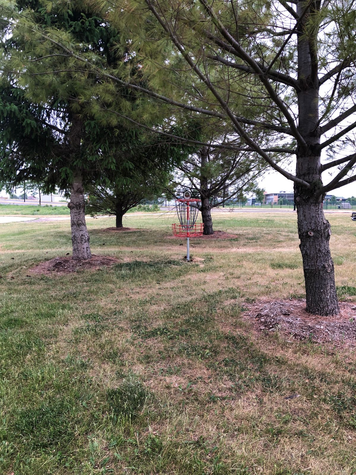 Basket for hole 3