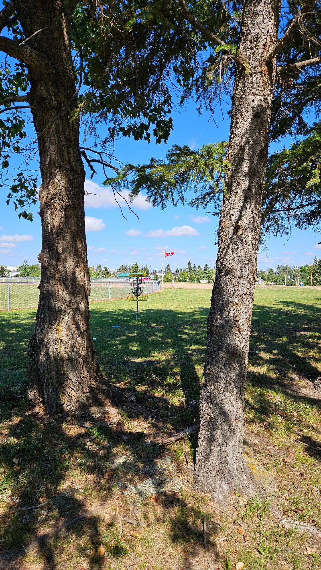 Hole 5 basket approach from fairway