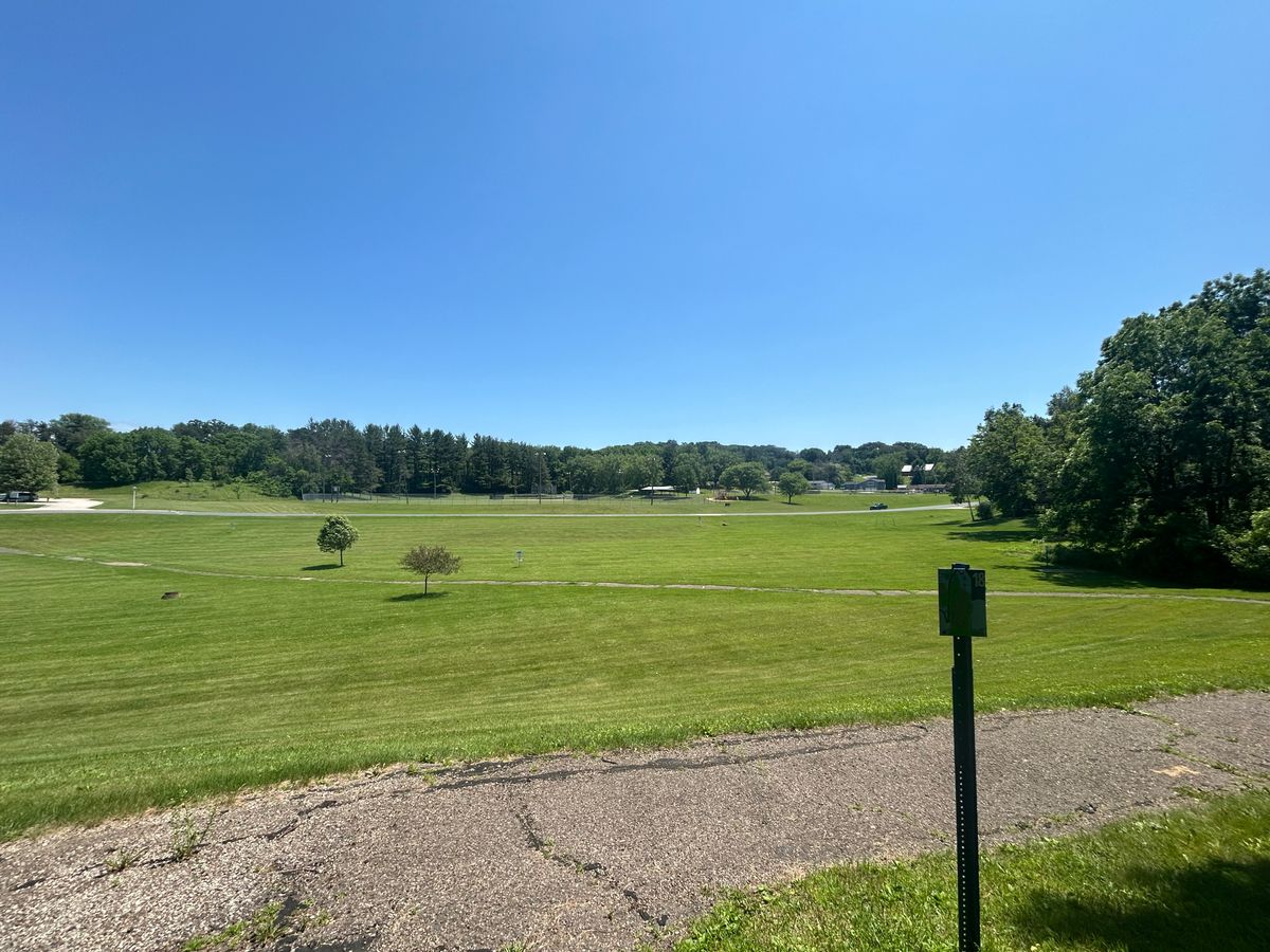 Back field area with some holes scattered throughout