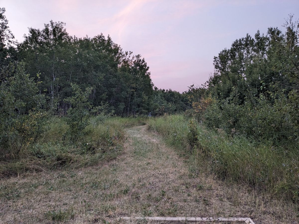 Hole 6