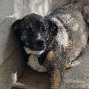 User avatar image