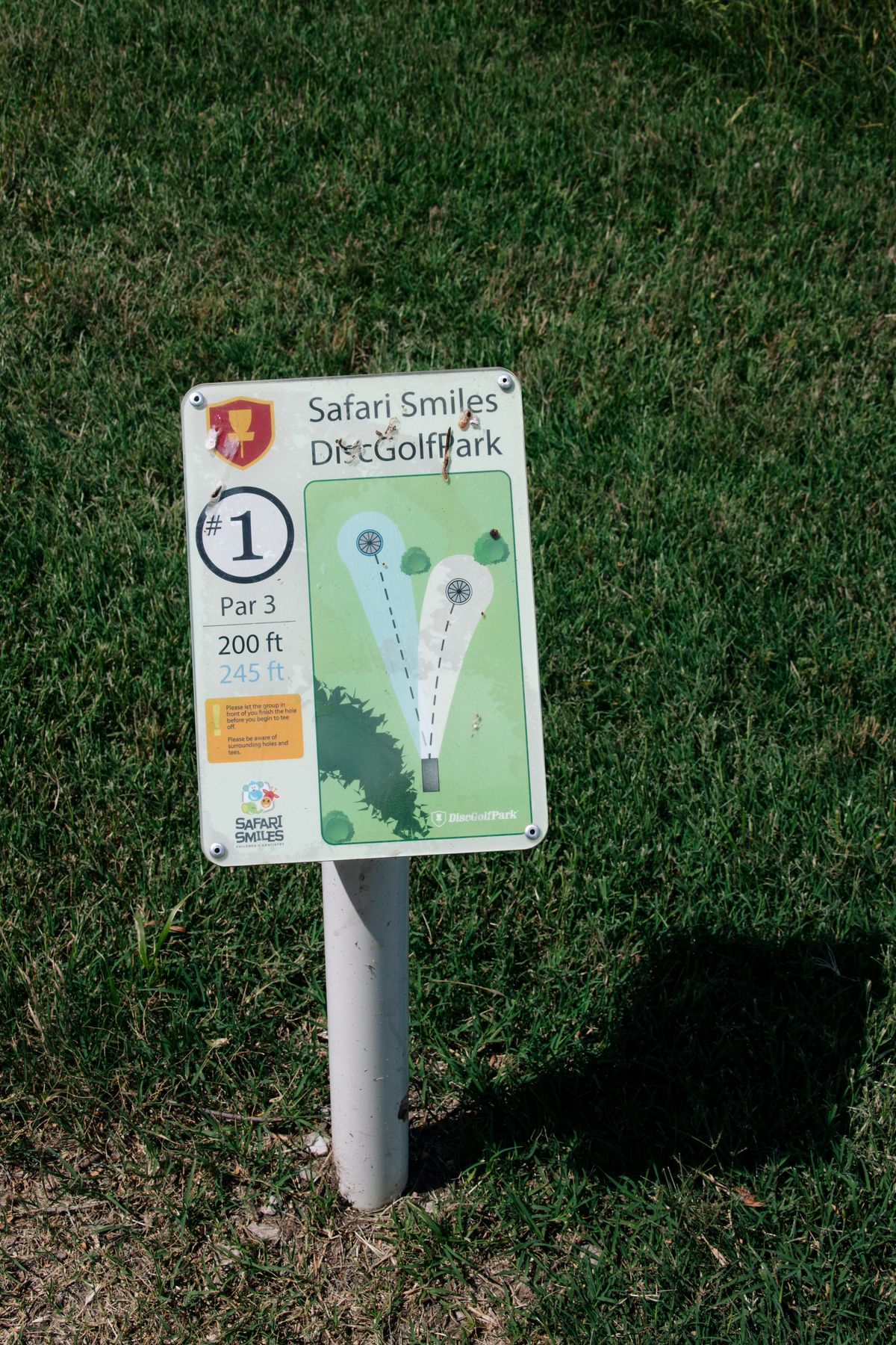 Safari Smiles DGC