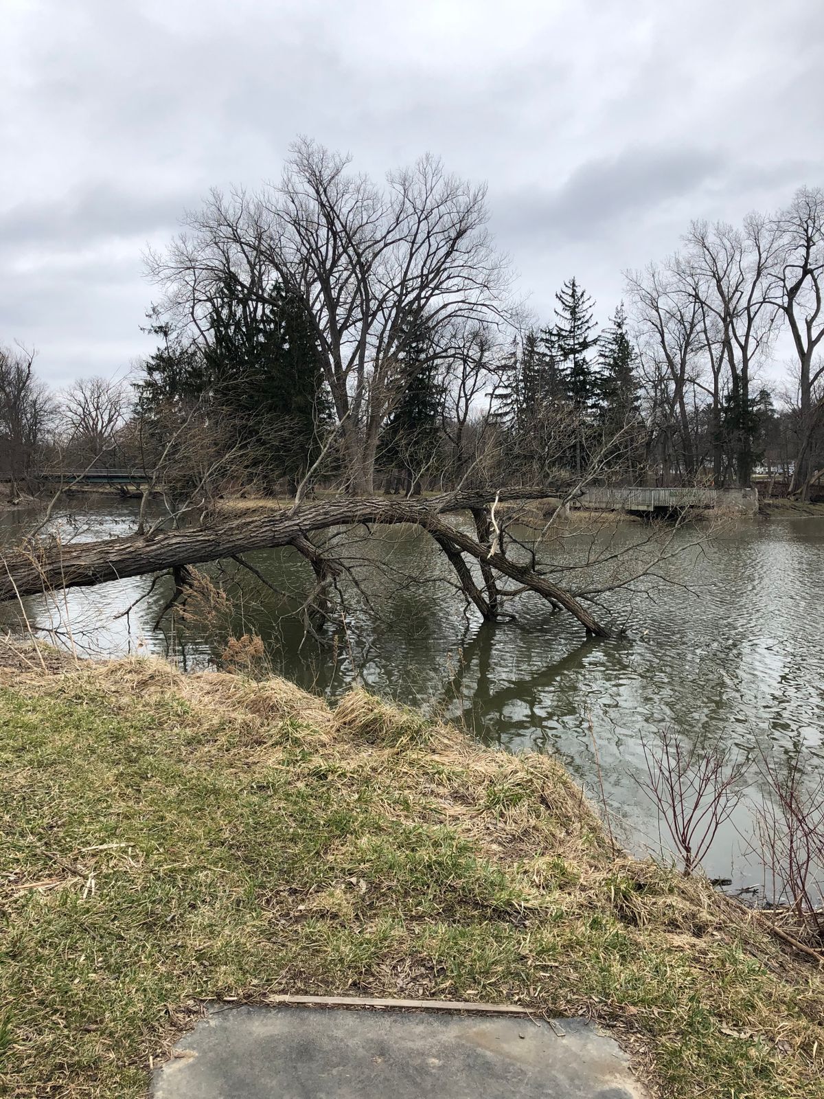 14th tee