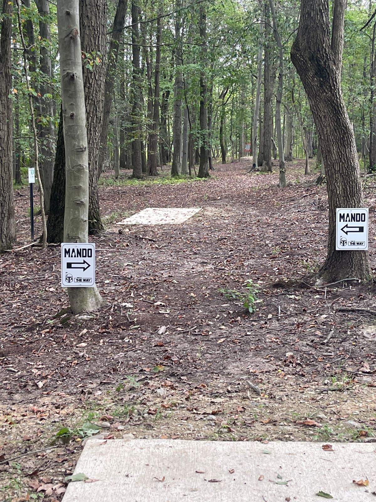 Hole 9