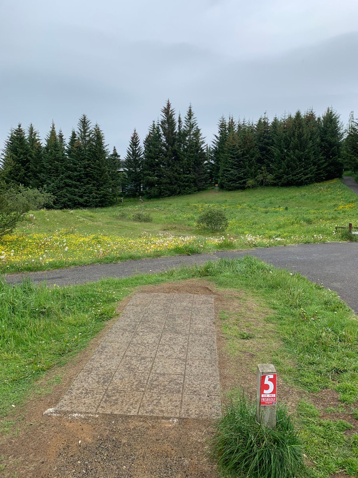 Hole 5