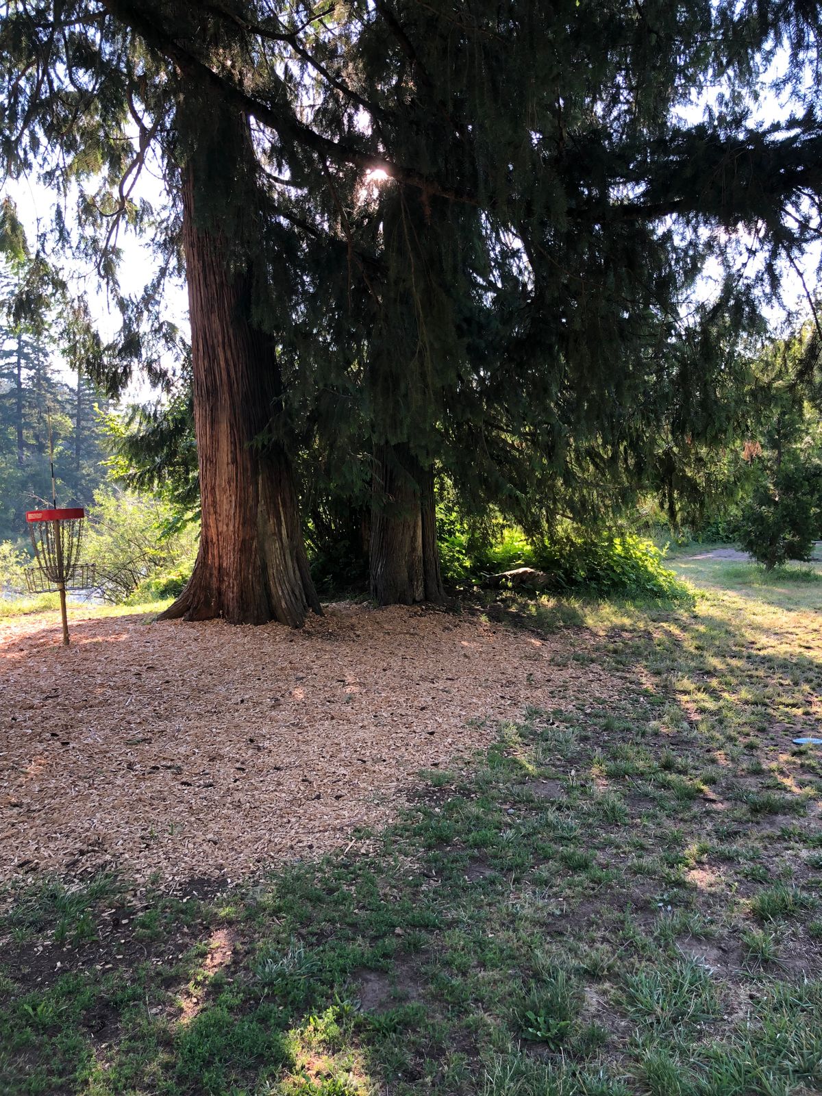 Hole 6 Green