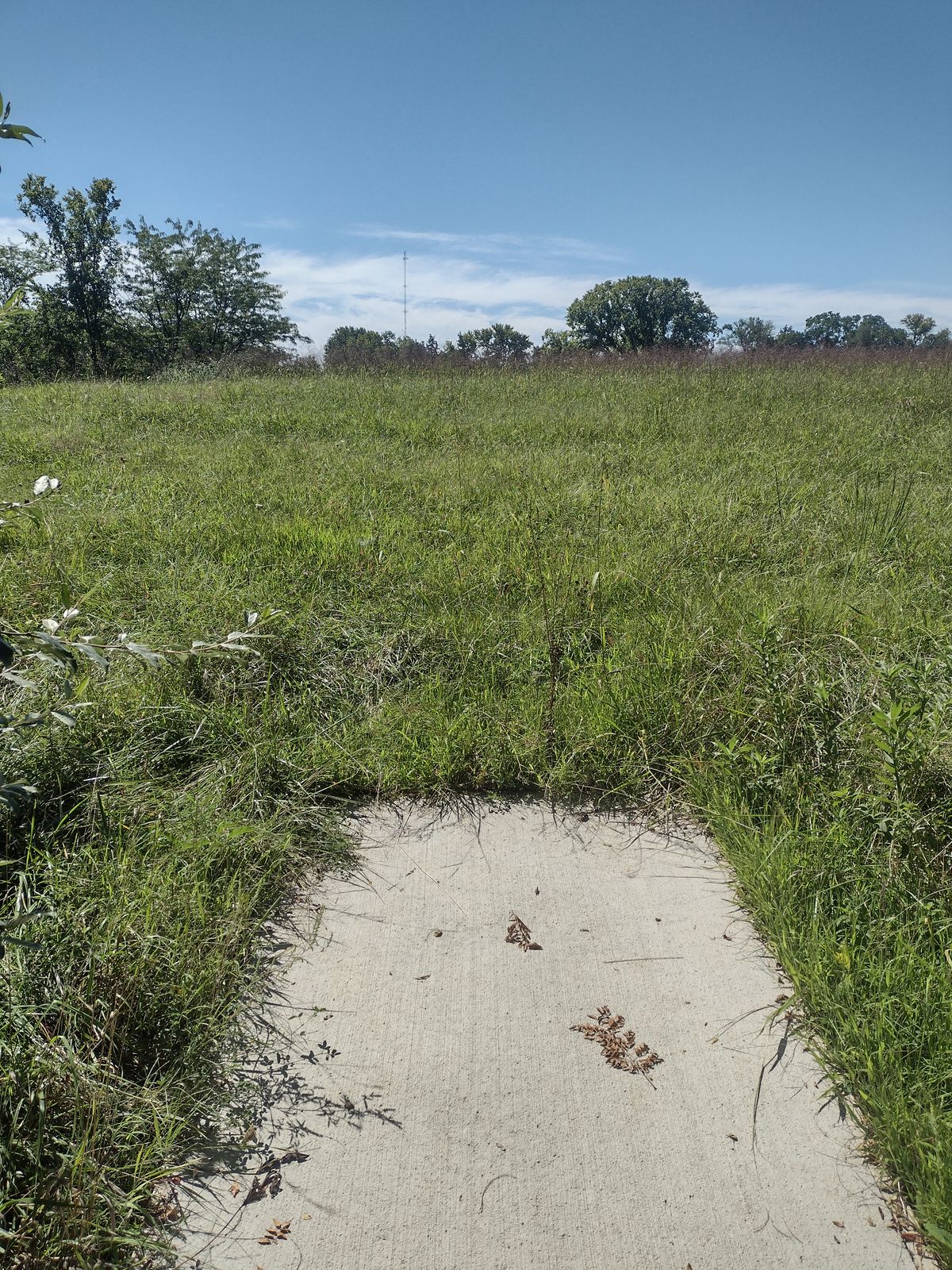 Hole 9 Tee. Basket straight ahead.