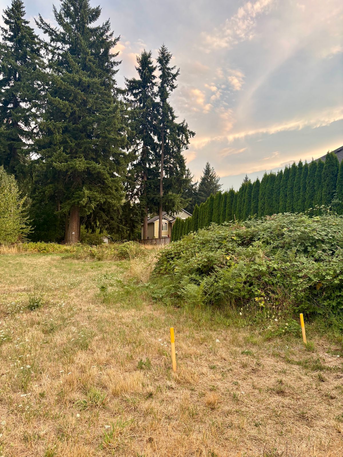 Hole 2 From Tee