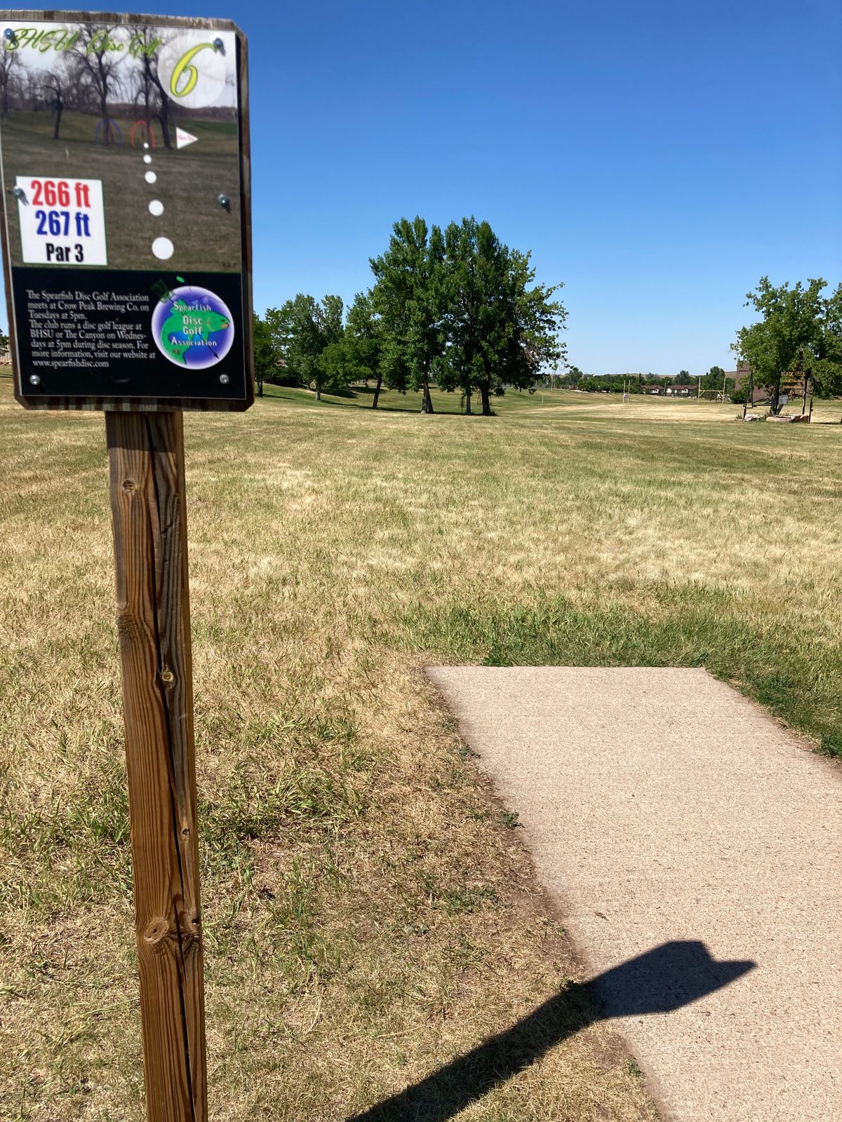 Tee 6