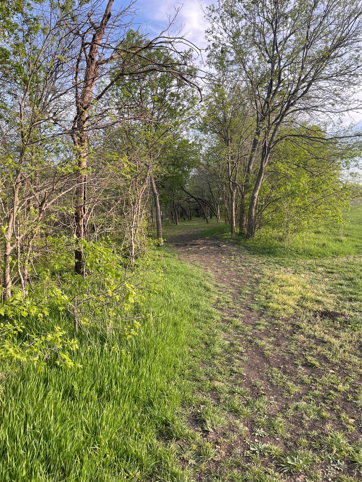 Hole 4 gap early spring