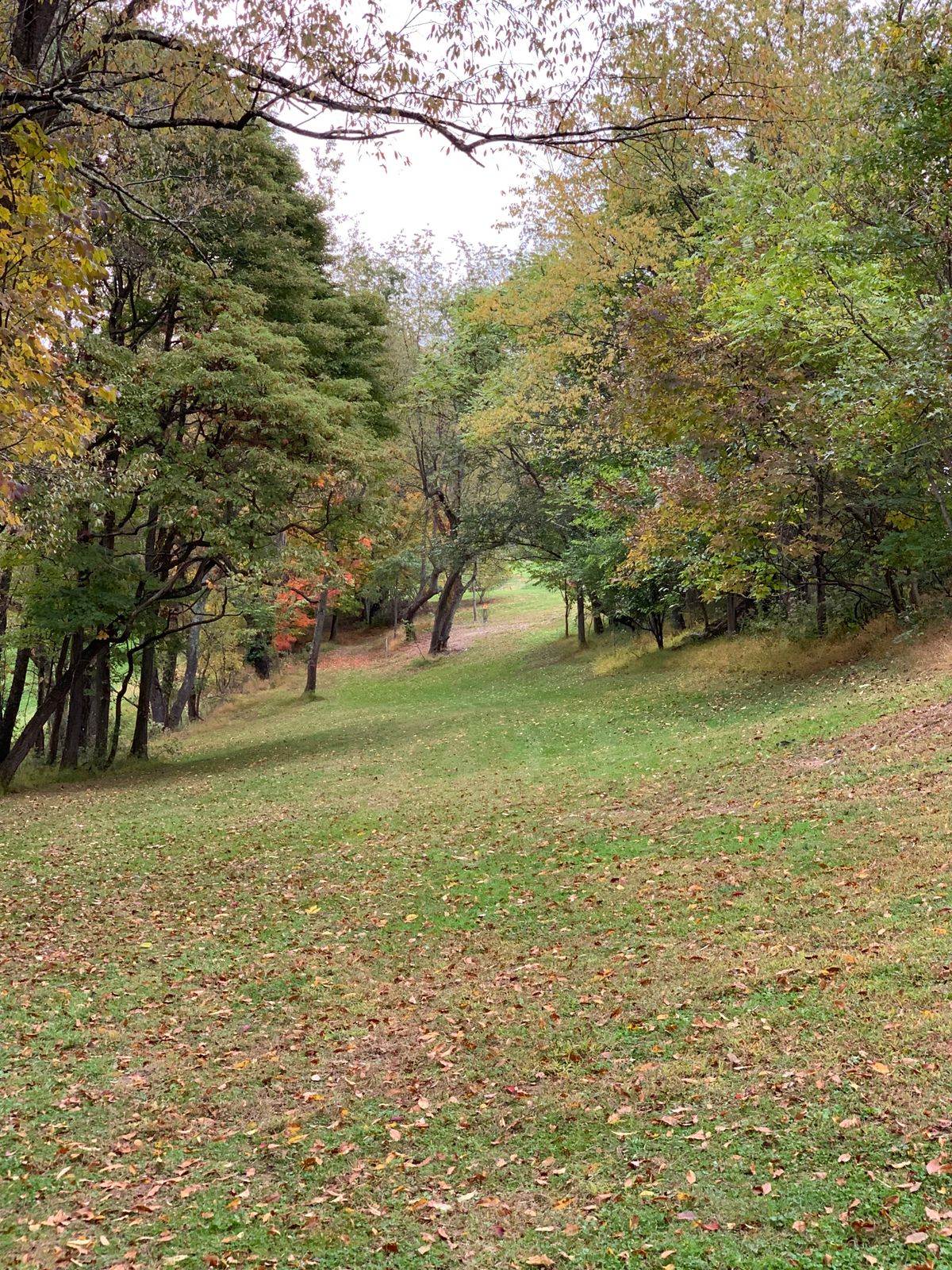Fairway on hole 9