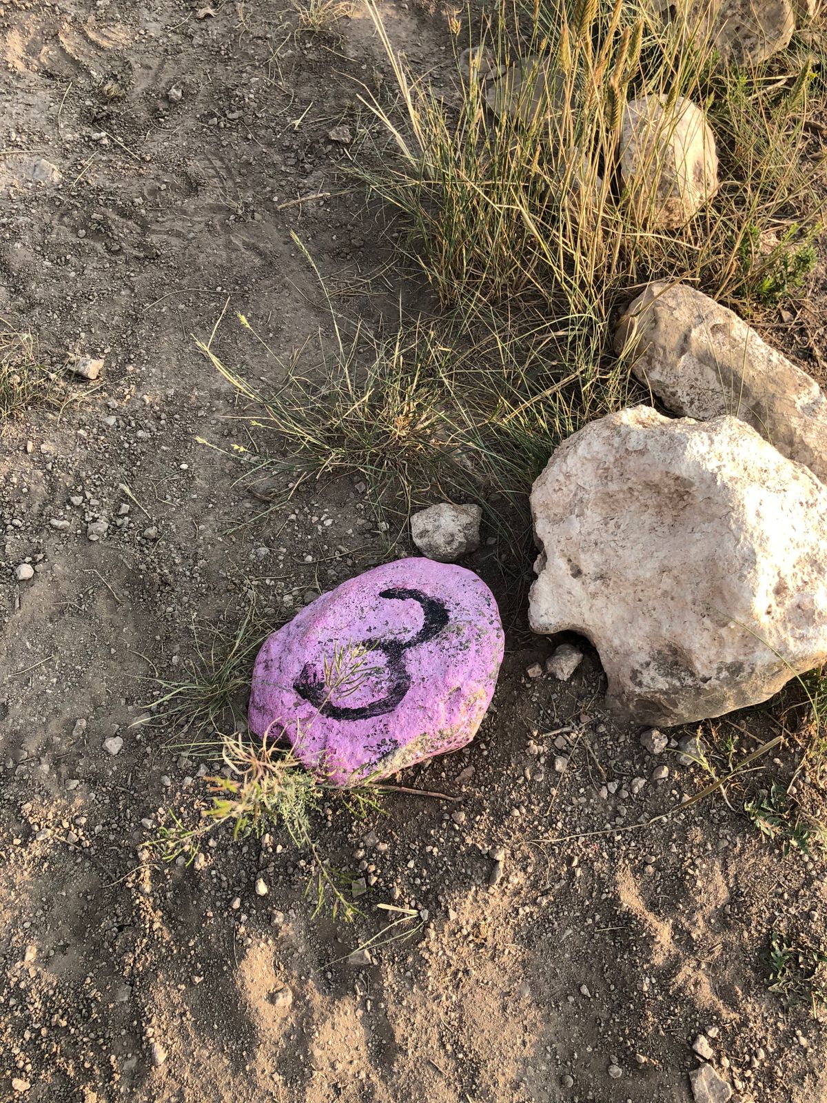 Tees are market with colorful rocks and stakes from the ground
