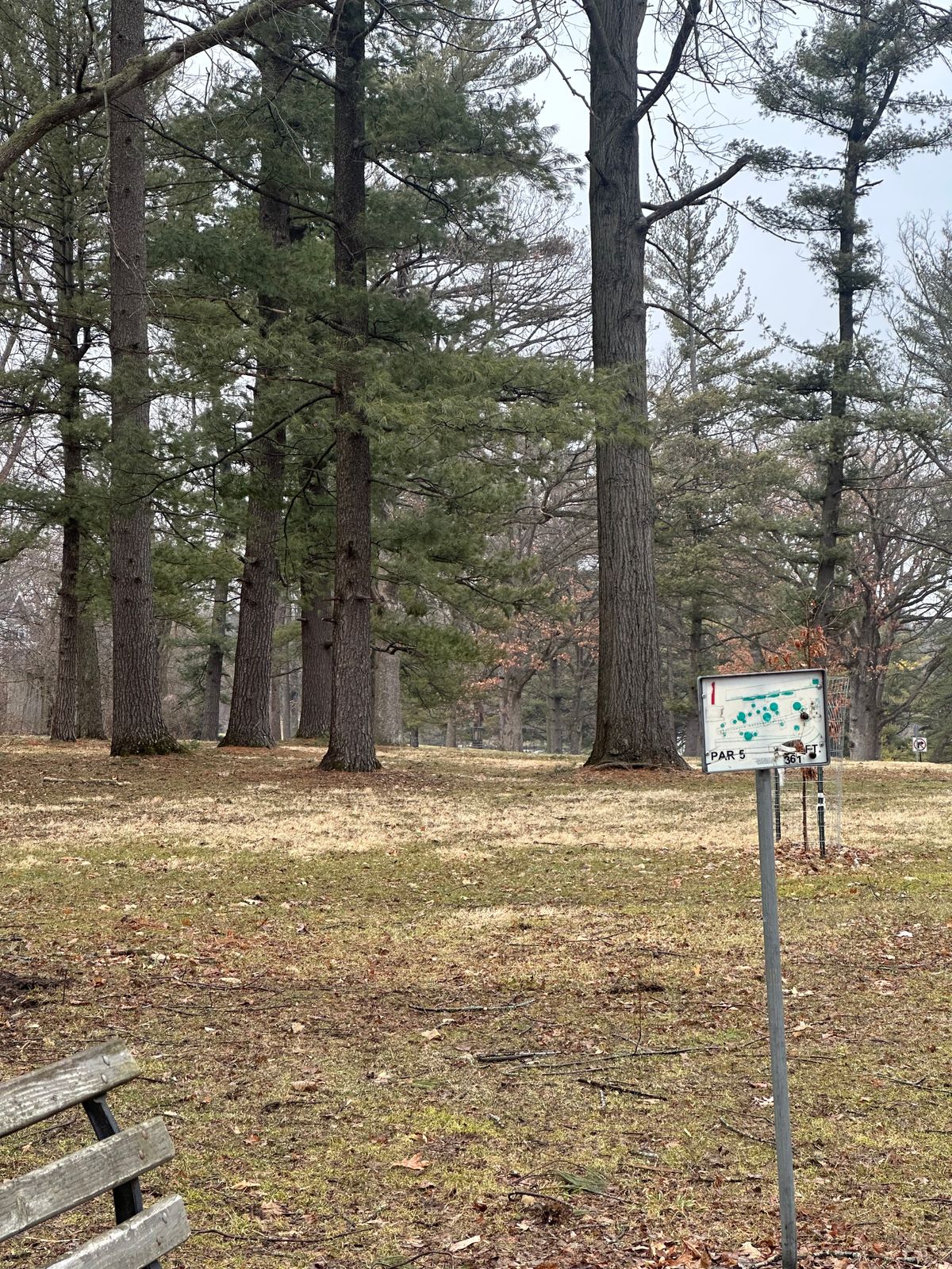 Hole #1 Basket