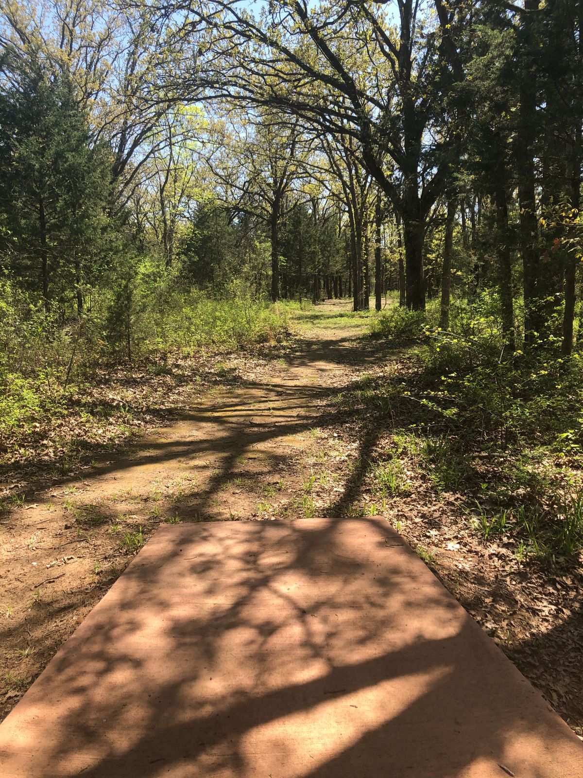 Hole 15 North Long