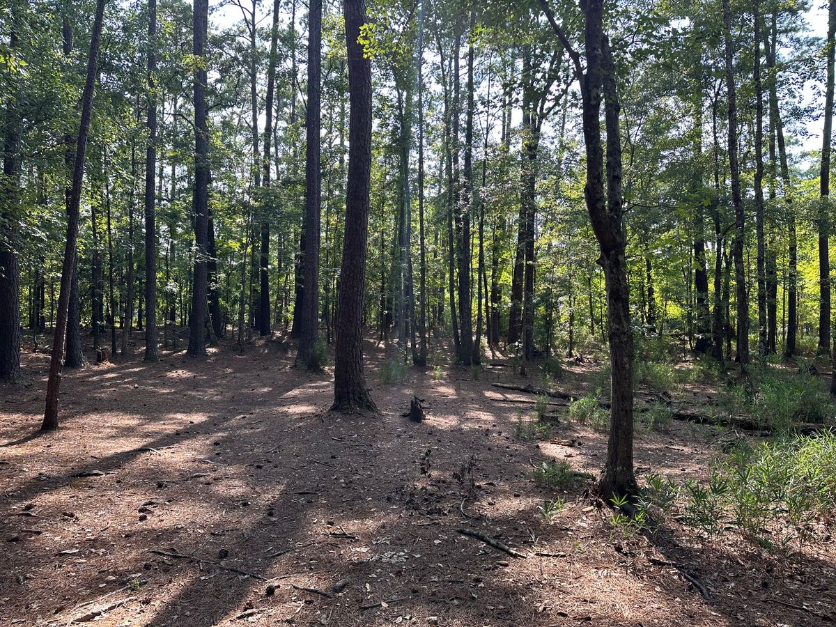 Hole 2 Fairway