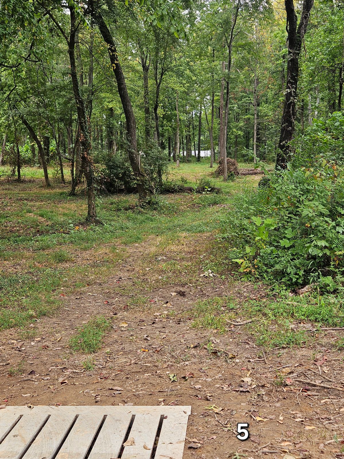 Hole 5